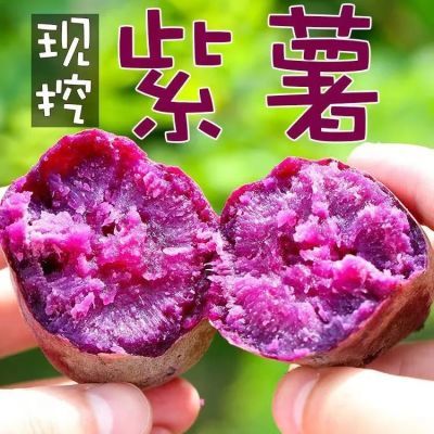 【粉糯香甜】正宗新鲜紫薯农家自种沙地香甜软糯超甜松软蜜薯红薯【7天内发货】