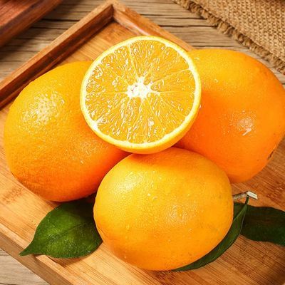 5斤脐橙纽荷尔脐橙现摘现发新鲜应季当季水果脐橙孕妇可食【7天内发货】
