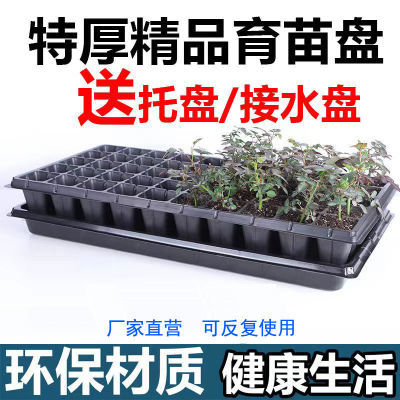 育苗盘育苗盆穴盘塑料杯种植神器营养钵蔬菜育种扦插盒农用托盘盆