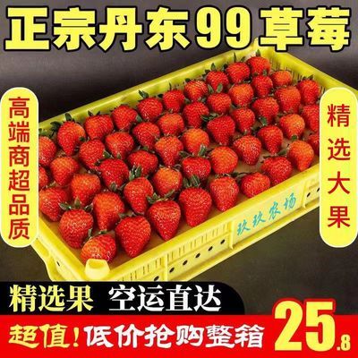 正宗丹东99草莓新鲜东港红颜九九草莓整箱当季水果新鲜草莓空运