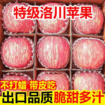 精品正宗洛川红富士苹果脆甜多汁当季新鲜水果3斤5斤10斤整箱批发