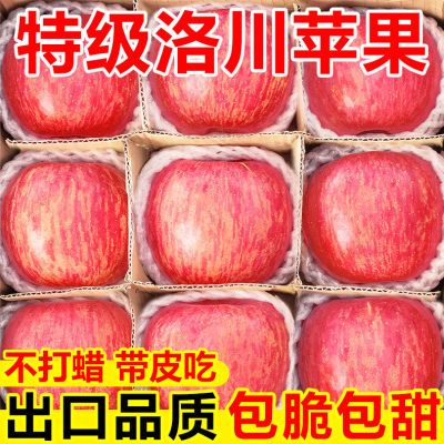【洛川苹果】正宗特级陕西洛川红富士苹果冰糖心脆甜新鲜水果批发