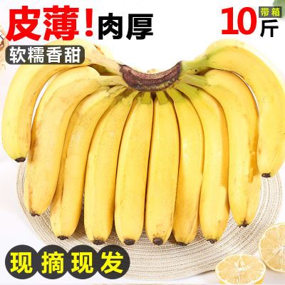【软糯香甜】云南香蕉新鲜水果整箱应季水果批发自然熟1斤5斤10斤
