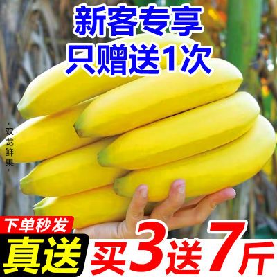 【5人团】正宗高山香蕉云南特产水果新鲜小香蕉整箱非米蕉芭蕉