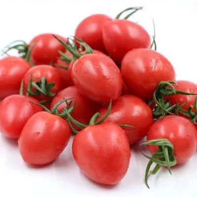 貴州生態圣女果千禧小番茄新鮮小西紅柿孕婦水果現摘現發包郵【8天內發貨】