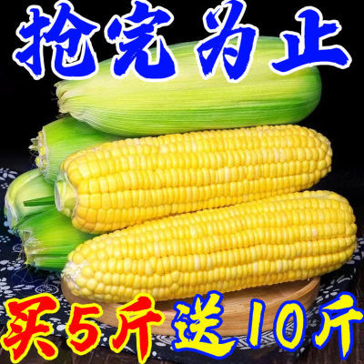 【减脂代餐】新鲜糯玉米甜玉米带皮苞谷水果玉米新鲜带壳嫩玉米
