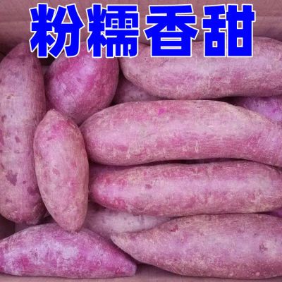 【新鲜紫薯】沙地番薯紫心蜜薯现挖红薯紫罗兰地瓜蔬菜批发5/10斤