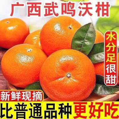 广西武鸣沃柑橘子水果正宗当季桔子新鲜蜜桔超甜应季蜜橘10斤整箱