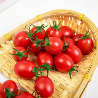 迷李鲜果米易时令小番茄超甜圣女果新鲜水果蔬菜西红柿生吃自然熟