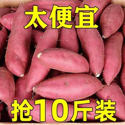 【抢购中】超甜沙地红薯新鲜红蜜薯板栗薯地瓜1/10斤番薯蔬菜批发