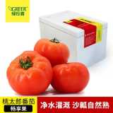 【绿行者】桃太郎番茄沙瓤大粉西红柿新鲜蔬菜水果洋柿子生吃5斤