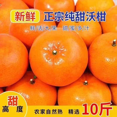 【广西精选沃柑】沃柑贵妃柑甜新鲜橘子水果应季薄皮桔子