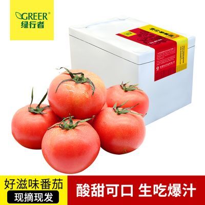 【绿行者】好滋味番茄品牌果5斤现摘现发薄皮生吃西红柿新鲜蔬菜