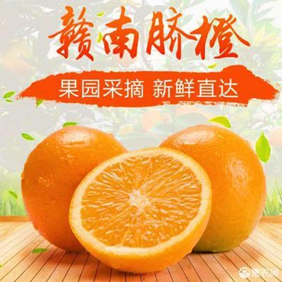 脐橙大果时令水果甜橙整箱5斤包邮【4天内发货】