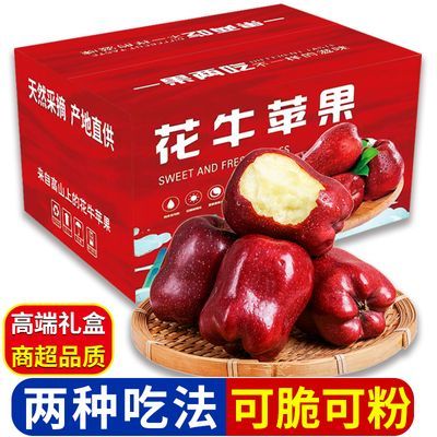 【礼盒装】花牛苹果脆甜甘肃天水苹果5/9斤红蛇果苹果新鲜水果