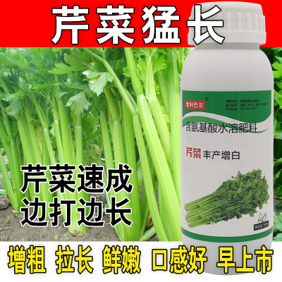 芹菜猛长芹菜专用肥料增粗增白拉长嫩绿西芹通用芹菜速长叶面肥