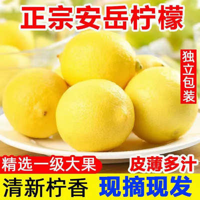正宗四川安岳黄柠檬鲜柠檬树上新鲜采摘止咳化痰现货现发