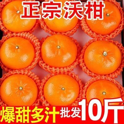 广西武鸣沃柑新鲜橘子当季应季水果【6天内发货】
