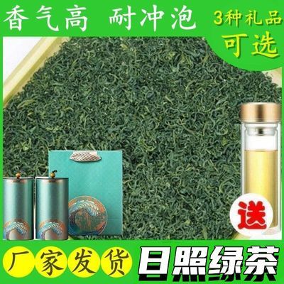 2024新茶正宗山东日照绿茶散装高档高山茶叶浓香型礼盒装500g250g