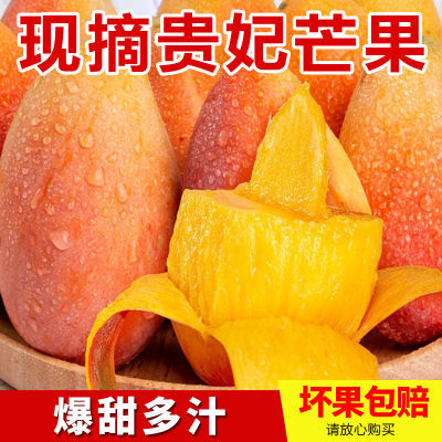 【彩箱】广西贵妃芒新鲜芒果当季水果热带芒果催熟变软吃3斤起