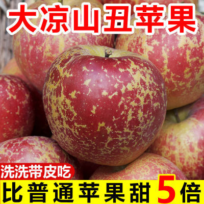 【冰糖心苹果】正宗大凉山丑苹果新鲜水果当季红富士苹果整箱批发