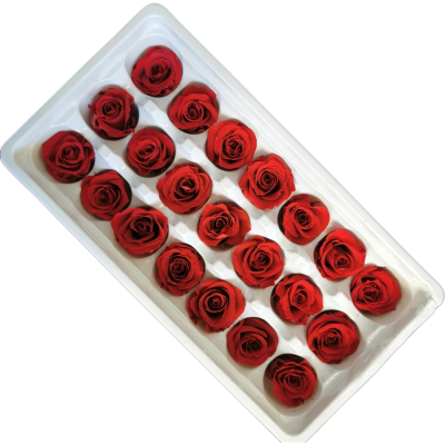 永生玫瑰花头21朵大红色保鲜花花材直径2-3厘米不适合做花束