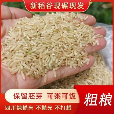正宗农家纯糙米粗粮杂粮现磨新米大米批发特价带皮玄米23年不抛
