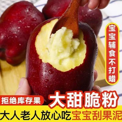 【树上现摘】天水花牛苹果粉面蛇果新鲜水果批发婴儿辅食刮泥脆甜