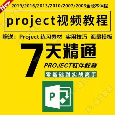Project教程视频 PMP项目管理工程2019/2016/2013办公流程甘特图