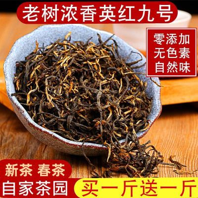 老树英德红茶英红九号红茶浓香型春茶买一斤送一斤发2斤2023新茶