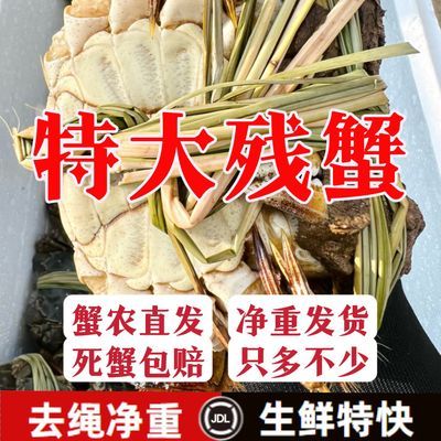 【特大残蟹】鲜活大闸蟹去绳净重特大螃蟹河蟹全公蟹全母蟹1-4斤