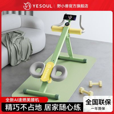 ڲYESOULҰС޼ʾļýݶ267Ԫ