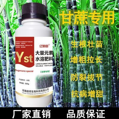 甘蔗专用叶面肥拉直拉长膨大素拔节生根壮苗增粗肥料增甜增产液肥