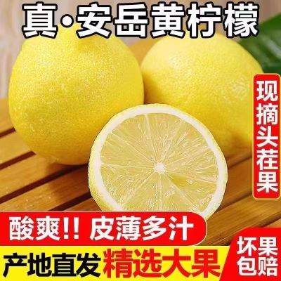 安岳柠檬黄果柠檬奶茶店专用商用鲜果非无籽黄柠檬