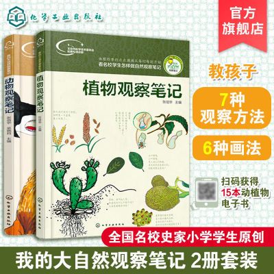 植物观察笔记 自然笔记 北京名校小学生手绘原创 培养思维观察