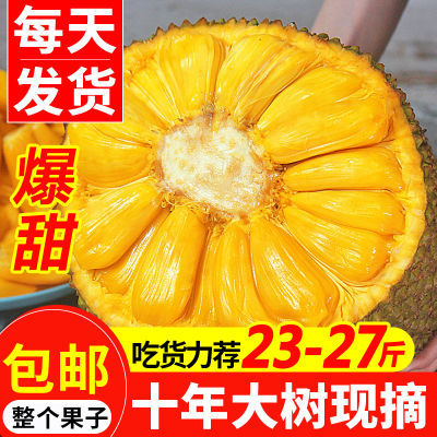 海南三亚黄肉菠萝蜜当季热带新鲜水果波罗蜜假榴莲一整个包邮红