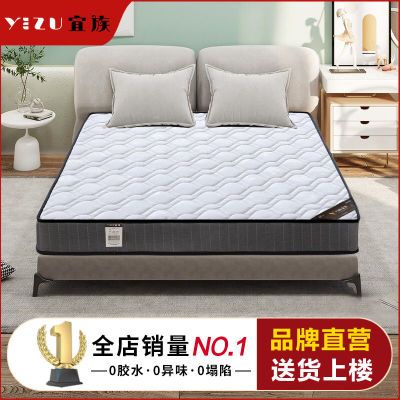 席梦思床垫家用弹簧床垫经济型1.5m1.8m椰棕硬软垫20c