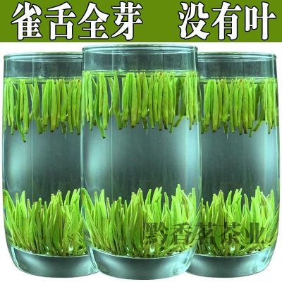 正品特级雀舌茶叶2024新茶特级绿茶明前雀舌嫩芽茶浓香型散装250g