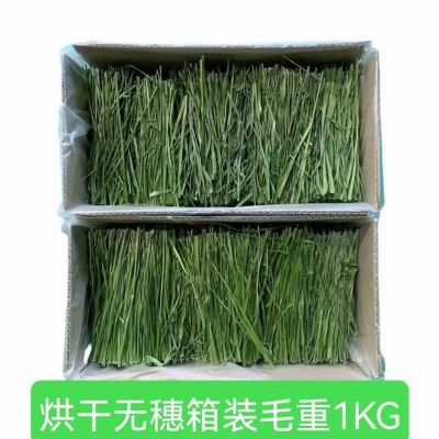 头茬箱装无穗烘干全切提摩西草段荷兰猪仓鼠主粮人工收割兔子食用