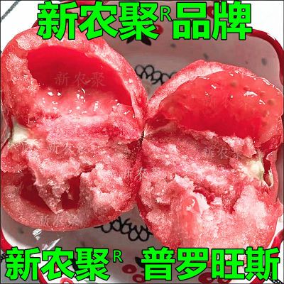 5斤装山东寿光普罗旺斯生吃西红柿新鲜沙瓤自然熟水果番茄粉柿1斤