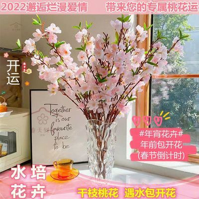 2023年2月12日更新【万能白菜价】的图片 第20张