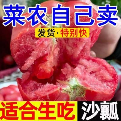 【露天沙瓤】新鲜西红柿当季新鲜批发10云南自然熟番茄生吃旺斯斤