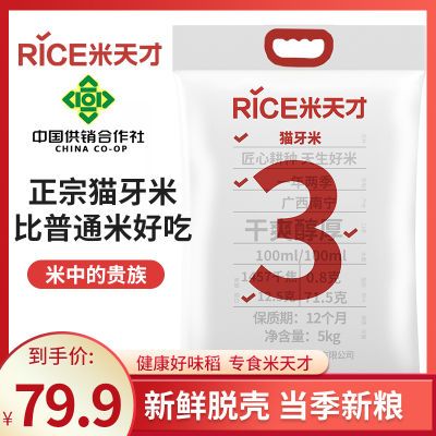 当季新米正宗 猫牙米大米丝苗米长粒香米南方大米籼米广西大米