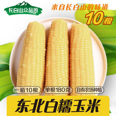 长白山白糯玉米10根0添加自有农场低卡真空包装罐头
