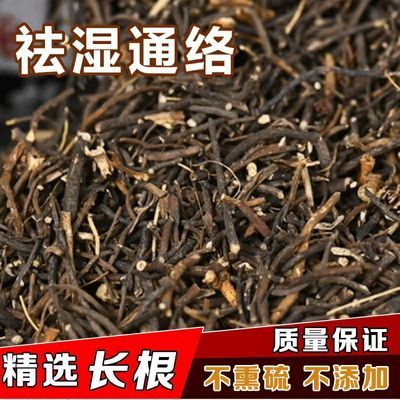 野生威灵仙中草药新鲜无硫老虎须防鱼骨卡喉咙正品包邮