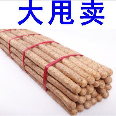 粉糯正宗铁棍山药淮山药无添加小白嘴正品垆土铁棍多规格新鲜蔬菜