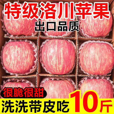 正宗洛川苹果红富士脆甜不打蜡水果新鲜当季现摘10/5/3斤整