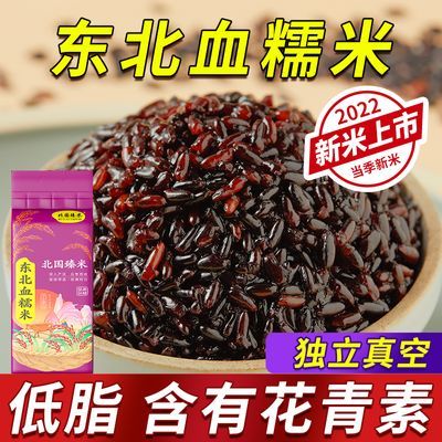 东北血糯米新米粽子米真空东北黑糯米正宗血糯紫糯米奶茶甜品杂粮