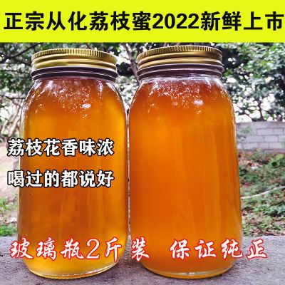 保证真蜜1000g从化荔枝蜜蜂蜜纯正天然农家自产新鲜峰蜜糖无
