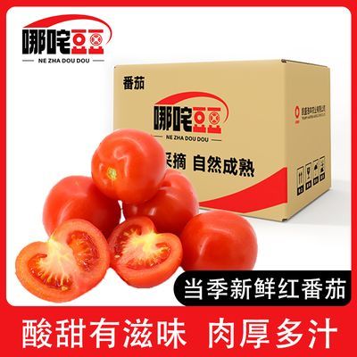 哪咤豆豆红番茄沙瓤西红柿自然成熟新鲜生吃柿子现摘应季蔬菜水果